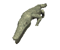 crocodile skull