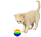 kitten with rainbow ball